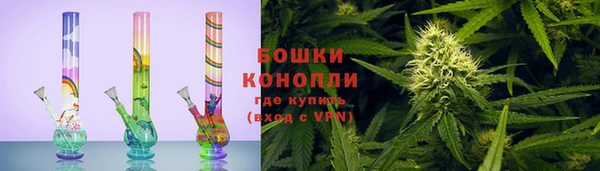 сатива Горняк