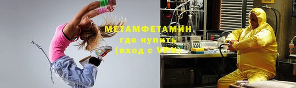 сатива Горняк