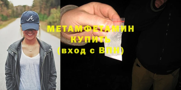 сатива Горняк