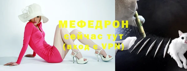 сатива Горняк