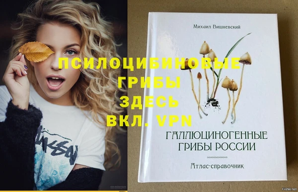 соль курить ск Гусь-Хрустальный