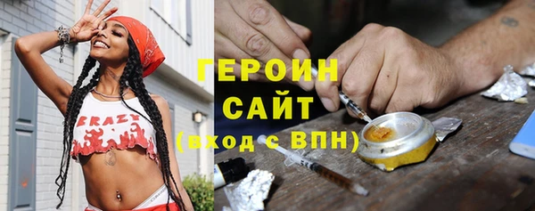 сатива Горняк