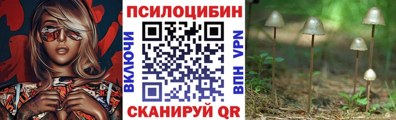 Галлюциногенные грибы Magic Shrooms  закладка  Ефремов 